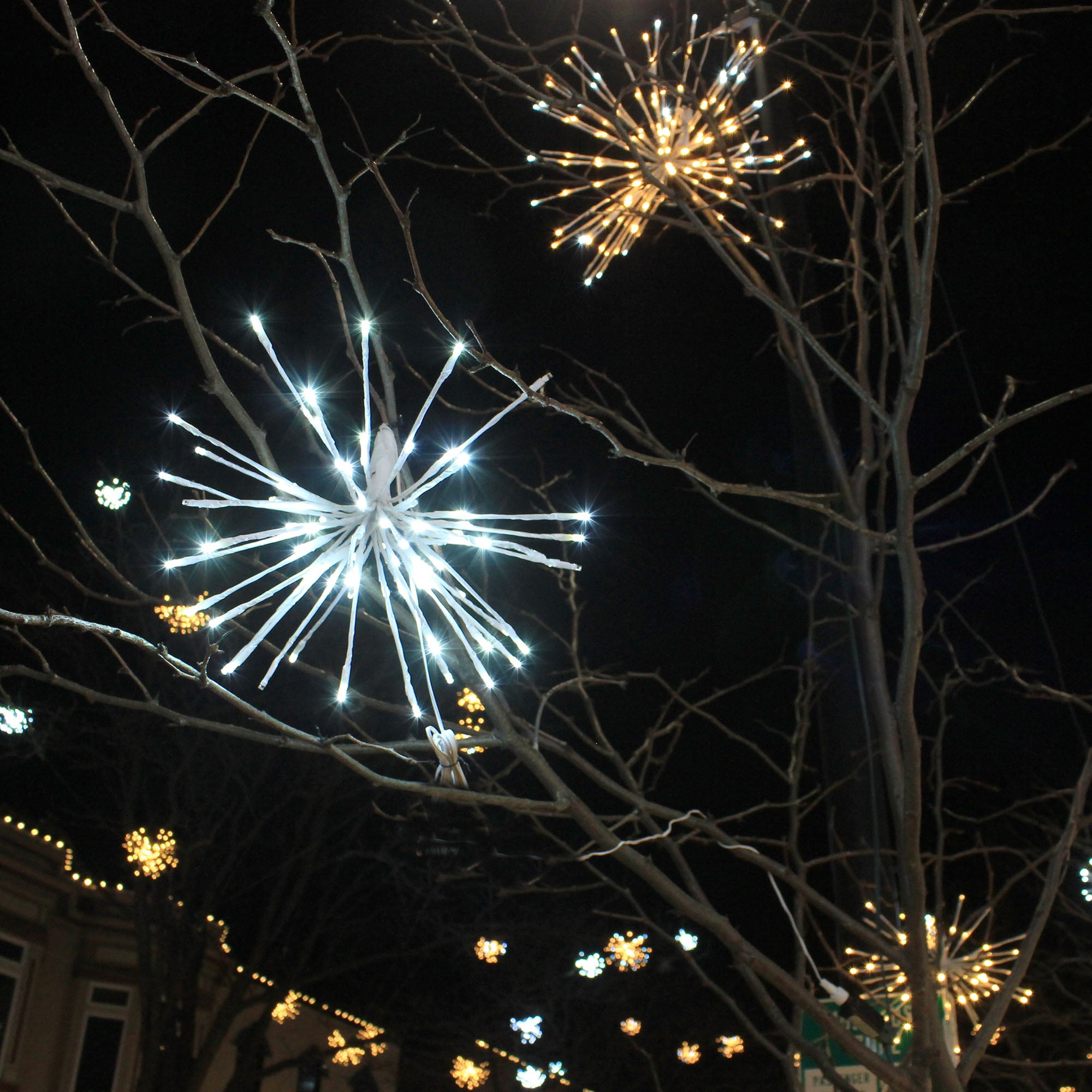 Bouquet scintillant - 230V